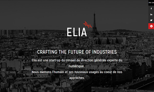 Elia Consulting